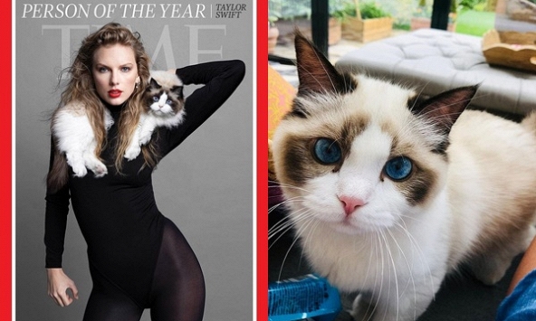 Mèo cưng mắt xanh 'quý hơn vàng' của Taylor Swift mới xuất hiện sang trọng trên bìa tạp chí cùng chủ nhân, có giá trị ước tính 2.400 tỷ VNĐ