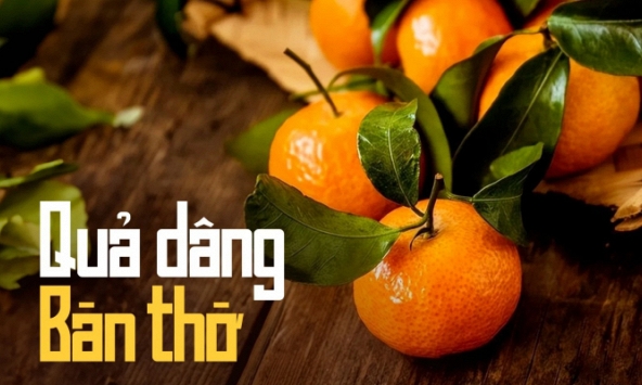 Vì sao mua cam canh, quýt bày bàn thờ nên kèm lá, đặc biệt trong dịp Tết?