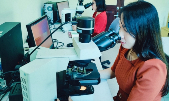 Ghi nhận mới một giống và loài tuyến trùng ký sinh thực vật nguy hại