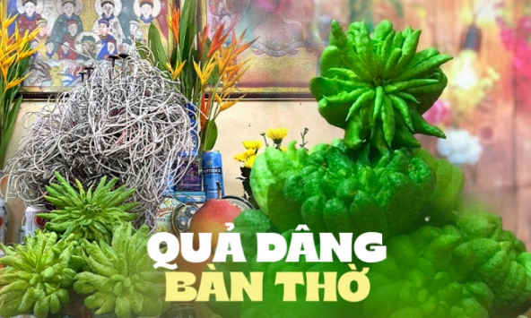 Lý do đặc biệt khiến nhiều người bày phật thủ trên bàn thờ ngày Tết
