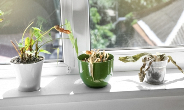 Bốn thứ để trước cửa sẽ xua đuổi Thần Tài vào nhà, có thứ quen thuộc mà chẳng mấy ai để ý