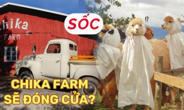 Chika Farm Đà Lạt bất ngờ thông báo đóng cửa dù đông khách, khiến dân tình vô cùng hoang mang