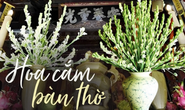 Ý nghĩa đặc biệt của hoa huệ trắng khi cắm trên bàn thờ không phải ai cũng biết