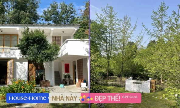 Bất chấp gia đình can ngăn, cặp vợ chồng vẫn rút tiền tiết kiệm để cải tạo lại căn nhà thuê rộng gần 1000m2