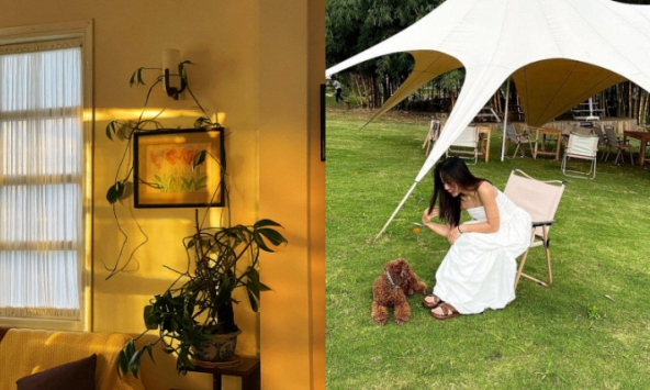 Bỏ phố về Đà Lạt mở homestay sau 1 năm phải đóng cửa: Doanh thu chỉ đủ trả tiền thuê nhà, mất trắng 400 triệu