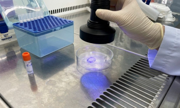 Bộ Tài chính bãi bỏ 7 thông tư trong lĩnh vực đầu tư công