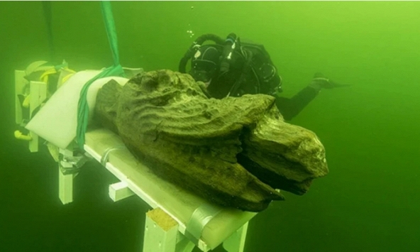 Đang lặn dưới biển, nhà khảo cổ giật mình phát hiện “thủy quái” núp trong con tàu đắm 500 tuổi