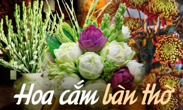 Loại hoa nào nên bày trên bàn thờ ngày Tết giúp thu hút tài lộc? Hoa cắm số chẵn hay số lẻ mới đúng?