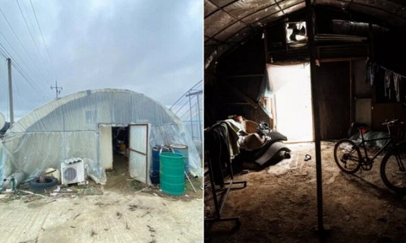 Góc khuất của người lao động nước ngoài tại Hàn Quốc: Sống tạm bợ trong nhà kính trồng cây, co ro chịu đựng thời tiết âm độ giá lạnh