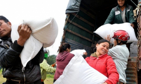 Xuất cấp gạo từ nguồn dự trữ quốc gia cho các địa phương dịp Tết Giáp Thìn 2024