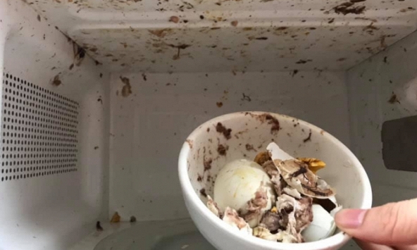 Luộc trứng vịt lộn bằng lò vi sóng, gia chủ nhận cái kết... 'lanh tanh bành' 