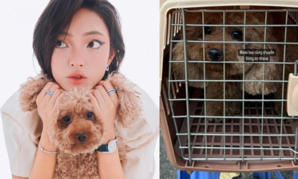 Nỗi buồn ngày 27 Tết của Châu Bùi: Nghẹn ngào chia sẻ cún cưng gặp tai nạn trên chuyến bay về Hà Nội