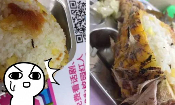 Học bá phát hiện côn trùng lạ trong cơm canteen, đọc thư khiếu nại mà choáng váng: Người học giỏi đi kiện cũng ở level khác!