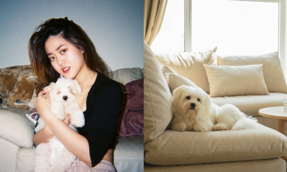 Thú cưng ở Hà Nội chết sau ca phẫu thuật 37 triệu: 1 tháng không nhận được câu trả lời, phía bệnh viện thú y quốc tế phản hồi gì?