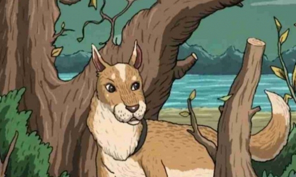 Trong 13 giây, nếu tìm ra con mèo đang 'trốn' trong bức ảnh thì bạn là thiên tài!