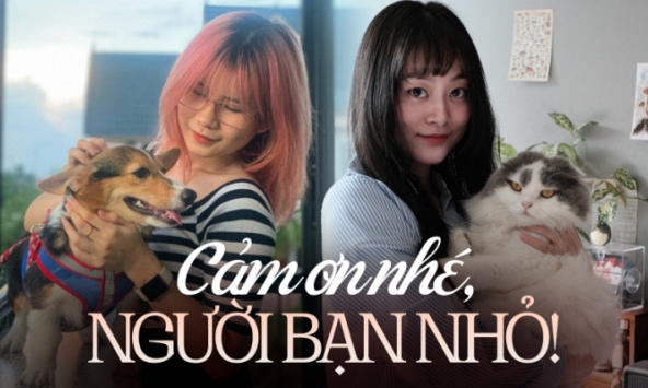 Chứng kiến thú cưng qua đời, chủ nhân giãi bày khoảnh khắc cuối cùng ám ảnh: 'Rất đau, rất buồn và nhiều nước mắt'