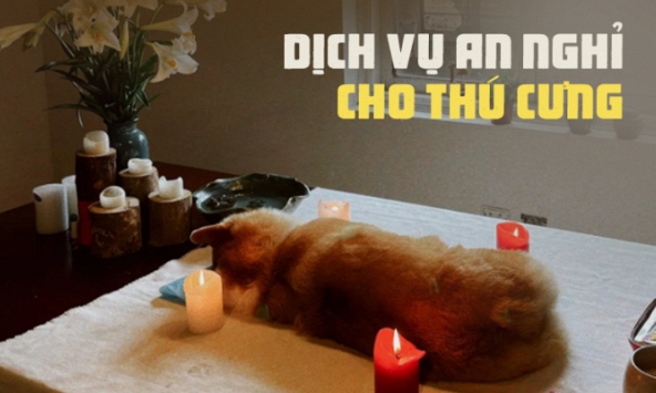 Dịch vụ an nghỉ cho thú cưng: Người trong nghề bần thần trước nhiều hình ảnh đau đớn, đứng trước mặt khách nhớ 1 điều tối kỵ! 