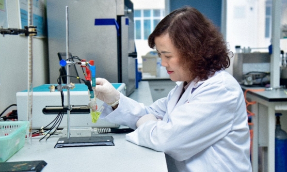 Tổng hợp thành công SPION/HAp - Vật liệu lai siêu thuận từ