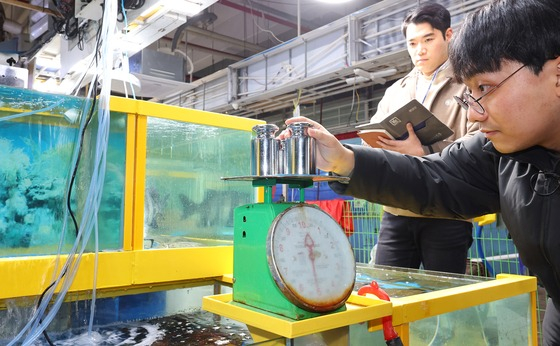 Khách hàng tố tiểu thương chợ hải sản 'cân điêu' bán giá cao, nhà chức trách cho người cải trang đi xác thực và cái kết 