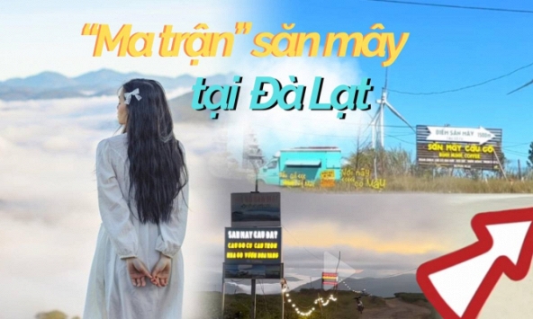 Du khách rối bời trước 'ma trận' săn mây ở Đà Lạt: Thật giả lẫn lộn, xảy ra tình trạng chèo kéo tranh giành khách