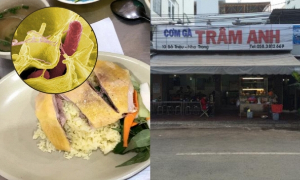 Vi khuẩn Salmonella có trong cơm gà Trâm Anh nguy hiểm thế nào?