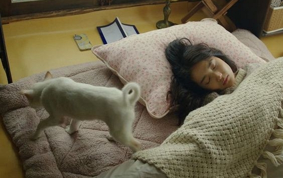 Ngủ vào thời điểm này có thể kích thích nạp calo tương đương uống 65 chai nước ngọt/ tháng, những cách để đảo ngược mối đe dọa