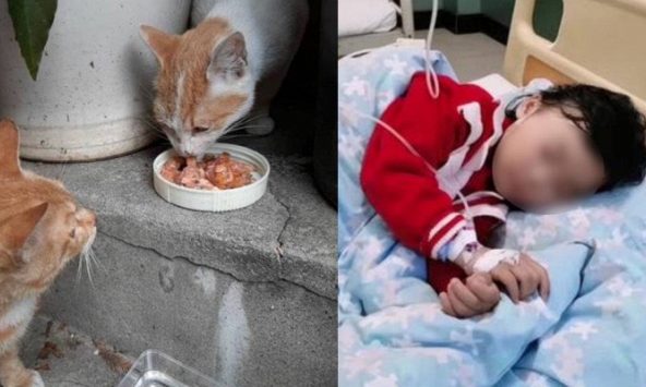 Bé gái 9 tuổi tổn thương xương khắp cơ thể, nghi ngờ khối u ác tính, nguyên nhân lại tìm thấy từ một con mèo hoang