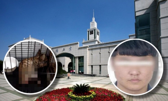 Toàn cảnh vụ nam sinh là 'thủ khoa' đợt thi tuyển cao học nhưng bị trường từ chối vì quá khứ ngược đãi mèo