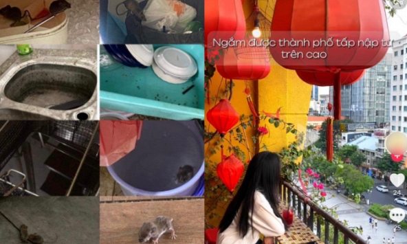 Quán cà phê 'chữa lành' nổi tiếng nhưng 'lành ít dữ nhiều' ở TPHCM: Chuột chạy tung tăng trong bếp, đồ ăn có dòi vẫn dùng... cho tiết kiệm?