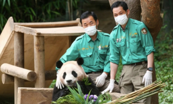 “Đỉnh lưu” Fubao sắp có phim điện ảnh, netizen chia phe tranh cãi: “Cái gì làm quá nó cũng ố dề!”