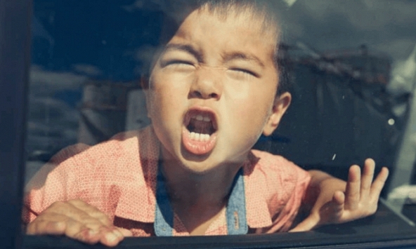 Giáo sư nổi tiếng: 3 biểu hiện 'báo động' trẻ có EQ thấp, mong con bạn không trúng cái nào