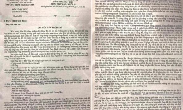 Xôn xao đề Văn cuối kỳ lớp 10 dài 3 mặt A4, đọc 30 phút không xong, đến sinh viên sư phạm còn than 'sao kinh khủng thế'
