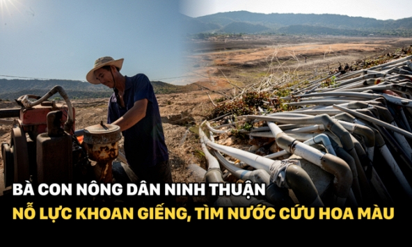 Xót xa cảnh bà con nông dân Ninh Thuận nỗ lực khoan giếng, tìm nước cứu hoa màu khi hồ thủy lợi khô đáy