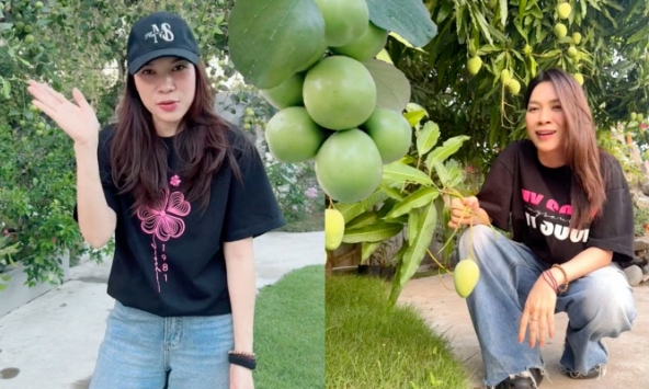 Mỹ Tâm khiến dân mạng 'mắt tròn mắt dẹt' khi 'flex' khu vườn siêu trái: Cây táo 2000 trái mọc như nho, xoài mọc sà xuống tận sát mặt đất
