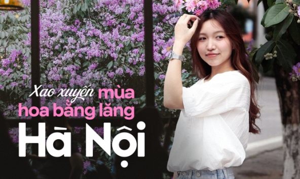 Loài hoa “tuyệt phẩm” mùa hè đã nhuộm tím cả Hà Nội, giới trẻ thi nhau check-in rồi sao bạn còn chưa đi?