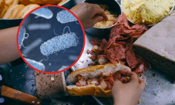Vi khuẩn Salmonella được tìm thấy trong bánh mì khiến hơn 500 người ngộ độc ở Đồng Nai nguy hiểm thế nào?