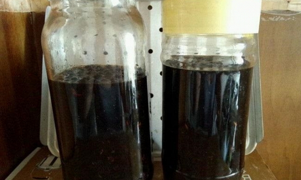 Ăn hạt màu đen giá rẻ này ngâm giấm khiến tiểu đường, mỡ máu, mỡ thừa, huyết áp cao đều “sợ”