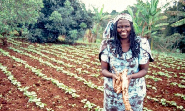 Người phụ nữ châu Phi đầu tiên nhận giải Nobel Hòa bình là ai?