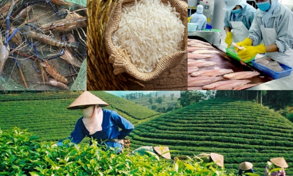 Bảo hộ chỉ dẫn địa lý và quyền thương hiệu