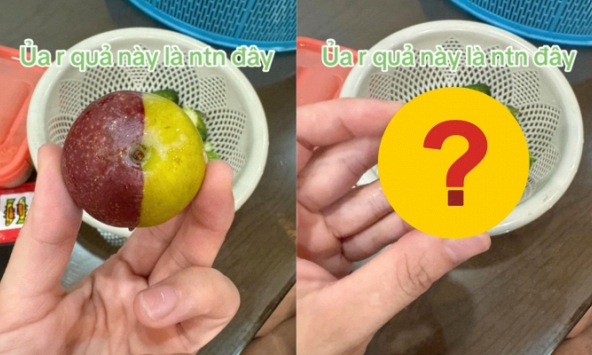 Quả mận 'đột biến' với 2 nửa 2 màu khác hoàn toàn khiến dân mạng ngỡ ngàng, càng bất ngờ hơn khi nhìn bên trong ruột