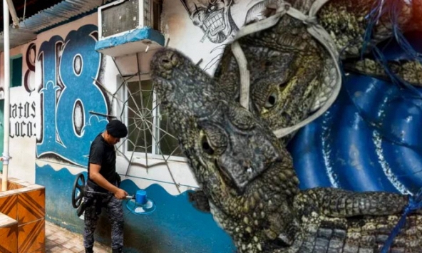  Kinh hoàng nhà tù bị băng đảng khét tiếng biến thành 'khu nghỉ dưỡng': Nuôi cá sấu, đại bàng và điều hành 'đế chế' tội phạm