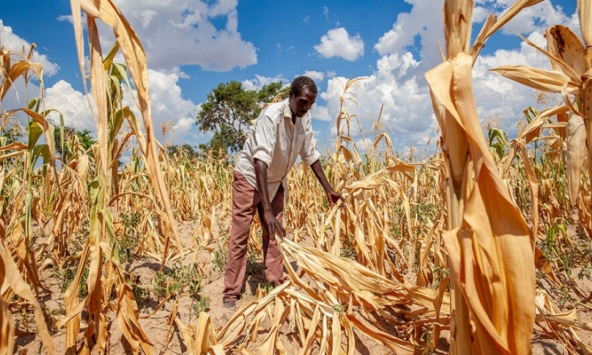 El Nino sắp kết thúc nhưng vẫn sẽ ảnh hưởng đến Trái Đất trong vài tháng tới