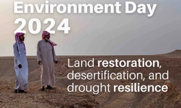 Ngày Môi trường Thế giới 2024: Khơi dậy sức mạnh hồi sinh từ đất