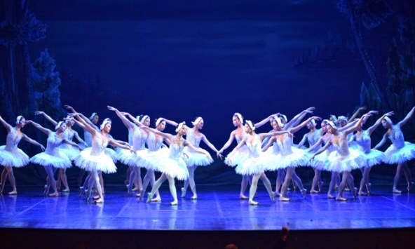 Lần thứ 3, “Hồ thiên nga” tái xuất trên sân khấu Việt Nam