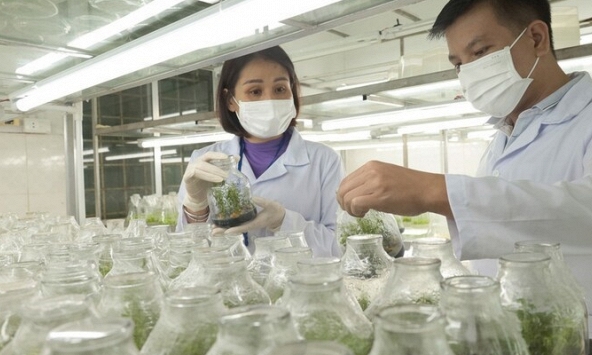 Nghiên cứu và phát triển cây trồng thông qua bảo hộ quyền sở hữu trí tuệ