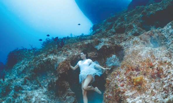 Những người phụ nữ lập kỷ lục thế giới