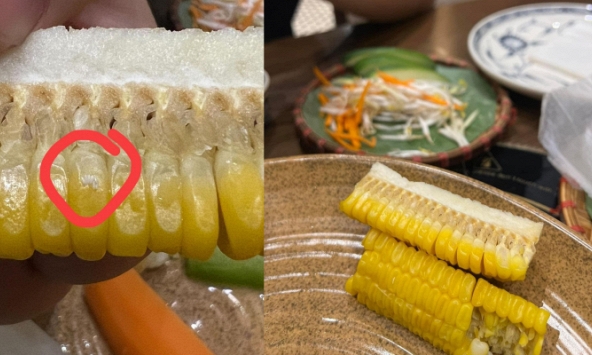 Vụ khách tố có trứng côn trùng trên bắp ngô nhưng nhân viên lại nói là 'sữa ngô': Đại diện nhà hàng chính thức lên tiếng!