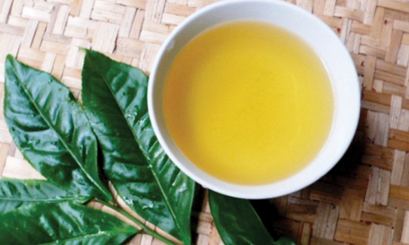 Uống trà như một lẽ thường