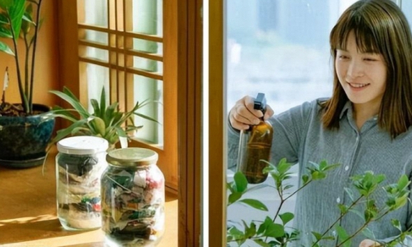 Cô gái 34 tuổi với lối sống '3 KHÔNG': Không thu nhập, không rác thải, không tiêu dùng khiến nhiều người ngưỡng mộ