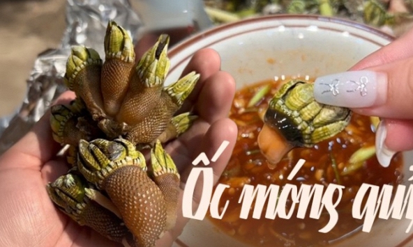 Món hải sản mang tên kinh dị nhưng lại ngon miễn chê, giá thành đắt đỏ có khi lên tới hàng triệu đồng mỗi kg